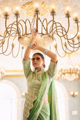 Glossy Embroidery Work Pista Color Ready To Wear Saree Glossy Embroidery Work Pista Color Ready To Wear Saree