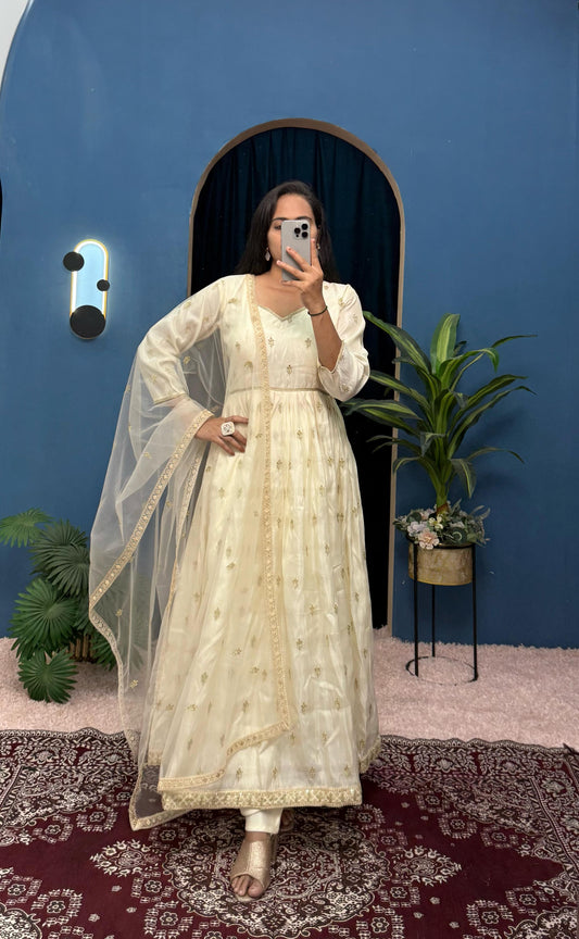 Blissful Embroidery Work Off White Color Gown