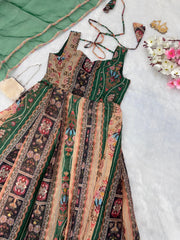 Classic Organza Silk Digital Printed Green Multi Color Gown Classic Organza Silk Digital Printed Green Multi Color Gown