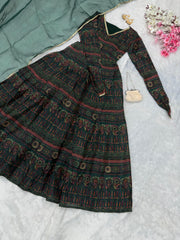 Admiring Organza Printed Green Multi Color Gown Admiring Organza Printed Green Multi Color Gown