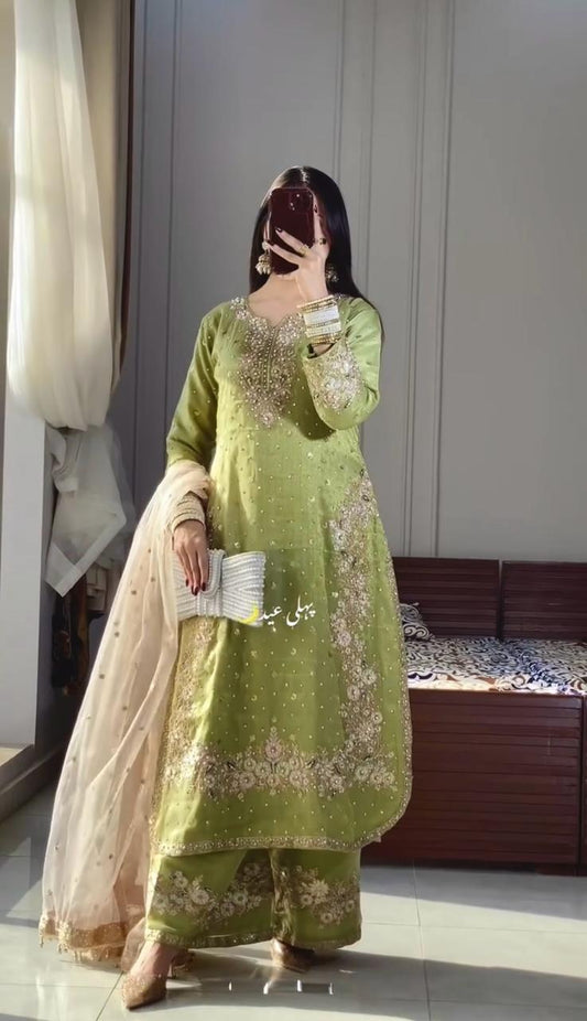 Stunning Sequence Work Perrot Color Palazzo Suit