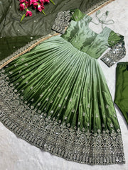 Charming Embroidery Work Parrot Color Gown Charming Embroidery Work Parrot Color Gown
