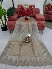 Presenting Jimmy Chu Beige Color Sequence Work Saree Presenting Jimmy Chu Beige Color Sequence Work Saree