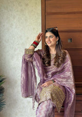 Glorious Sequence Work Pink Color Salwar Suit Glorious Sequence Work Pink Color Salwar Suit