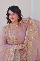 Function Wear Peach Color Gown Function Wear Peach Color Gown