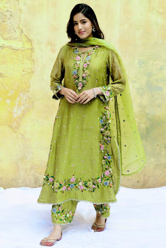 Flattering Green Color Sequence Work Punjabi Suit