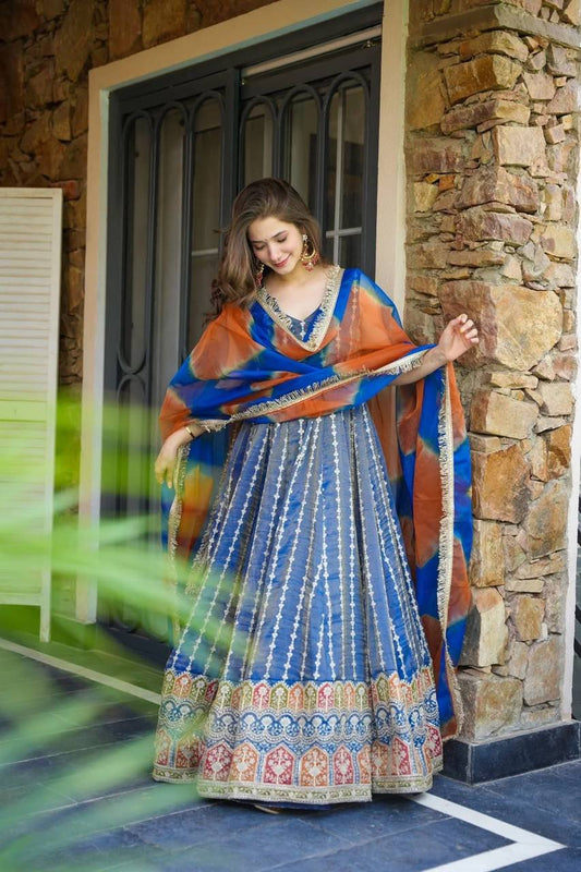 Exclusive Blue Organza Digital Work Gown