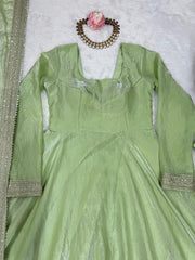 Glorious Pista Color Fendi Silk Thread Work Gown Glorious Pista Color Fendi Silk Thread Work Gown