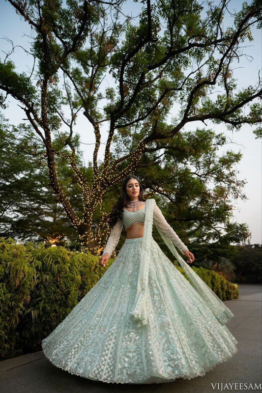 Daisy Silver Net With Embroidery Work Lehenga Choli
