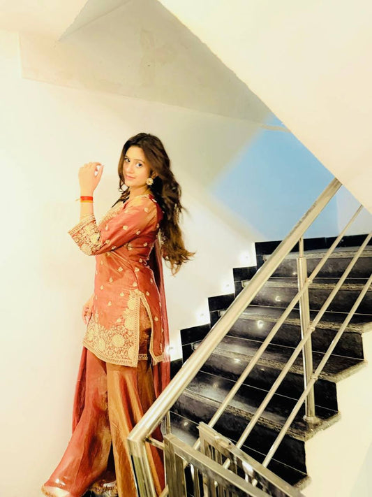 Exclusive Brown Heavy Fandy Silk Embroidery Work Sharara Suit