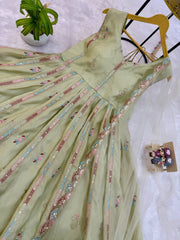 Ravishing Pista Simmer Embroidery Work Gown
