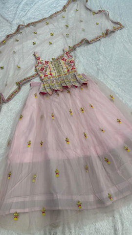 Light Pink Wedding & Party Wear Light Pink Double layer net lehenga Choli