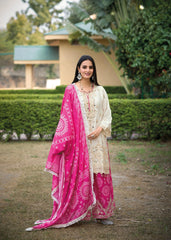 Embroidered Sequence Work Pink Color Sharara Sui