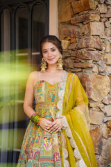 Trendy Multicolor Organza Silk Anarkali Gown