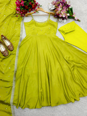 Graceful Embroidery Work Perrot Color Gown
