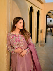 Lovely Onion Color Sequence Work Salwar Suit