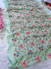 Multi Sequence Work Pista Color Saree