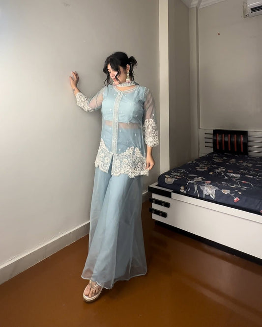Outstanding Sequence Embroidery Work Sky Blue Color Palazzo Suit