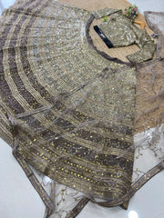 Adorable Embroidery Work Beige Color Lehenga Choli