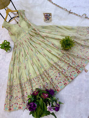 Ravishing Pista Simmer Embroidery Work Gown