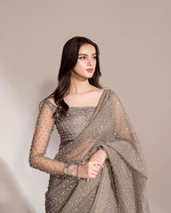 Fashionable Siroski Dimond work Grey Color Saree