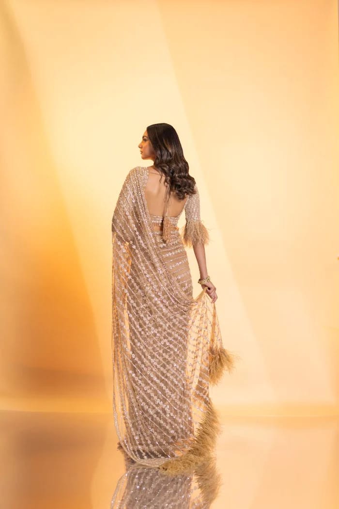 Precious  Cream Color Mono Net With Sequins Embroidery work Saree