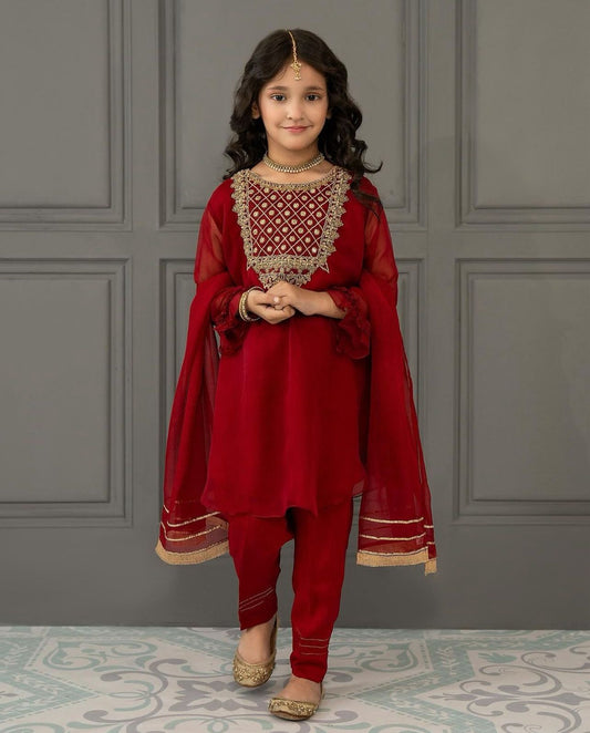 Attractive Embroidery Sequences Work Red Color Suit