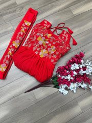 Presenting Embroidered Work Red Color Gown