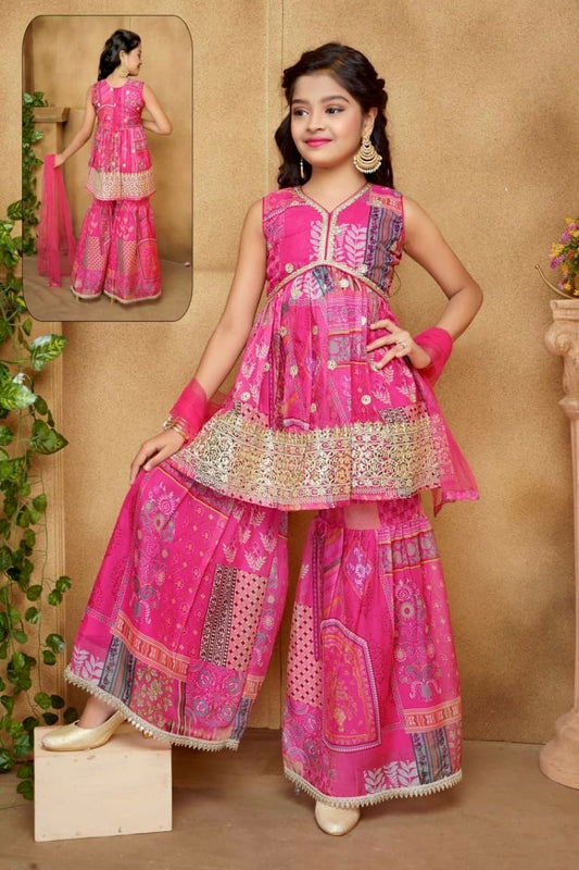 Beautiful Sequences Embroidery Work Pink Color Sarara Suit