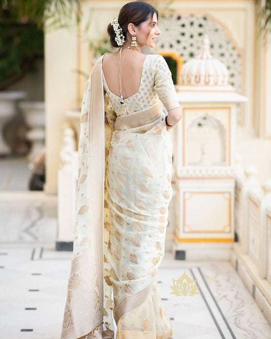 White Color Grand Beautiful Rich Design Saree