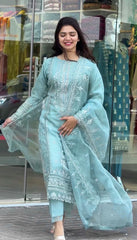 Outstanding Embroidery Work Sky Blue Color Anarkali Suit