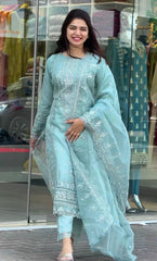 Outstanding Embroidery Work Sky Blue Color Anarkali Suit