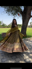 Embellished Thread Work Mehndi Color Long Gown