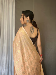 Flattering Beige Color Soft Silk Saree