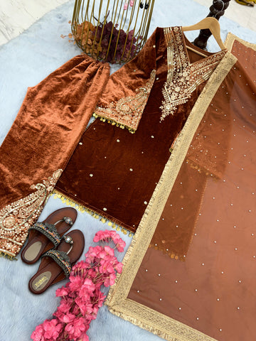 Delightful Coffee Color Embroidery Velvet Rivet Moti Work Suit