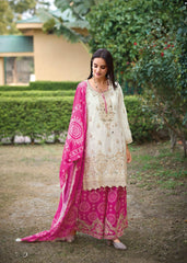 Embroidered Sequence Work Pink Color Sharara Sui