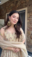 Ravishing Pista Simmer Embroidery Work Gown