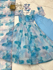 Sky Blue Color Organza Silk Anarkali Suit