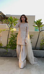 Attractive Embroidery Work Cream Color Palazzo Suit