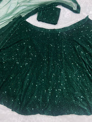 Captivating Sequence Work Green Color lehenga choli