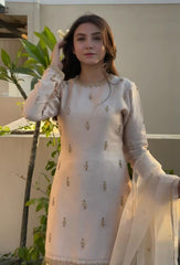 Attractive Embroidery Work Cream Color Palazzo Suit