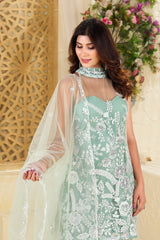 Shining Embroidery Work Rama Color Palazzo Suit
