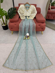 Outstanding Sequnce Work Net Sky Blue Color Saree