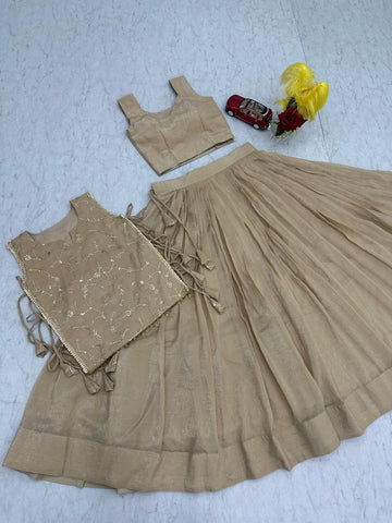 Precious Crunchy Silk Heavy Work Lehenga Choli