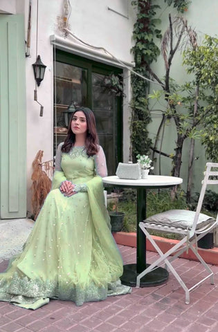 Amazing Foux Gorgette with Thread Work Gown