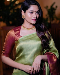 Light Green Color Coper Jari Design Silk Saree