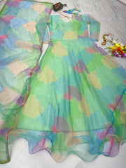 Foil Digital Print Multi With Green Color Gown