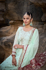 Marriage Special Heavy Sequence Work Sky Color Sharara Suit