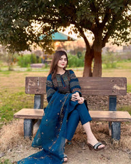 Stylish Sequence Embroidery Navy Blue Color Salwar Suit