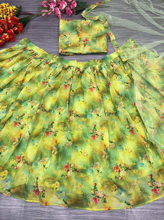 Fantastic Tabby Silk Perrot Color Lehenga Choli